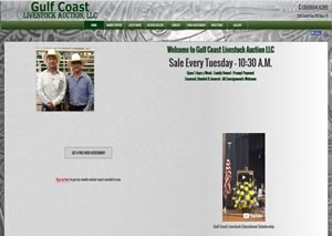 Website designer for GulfCoastLivestock.com 