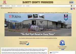 Website designer for DewittProducers.com 